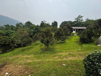 3.26 ekar LAND NEAR TOL with 100 pokok durian premium. ACCESS ROAD✅️