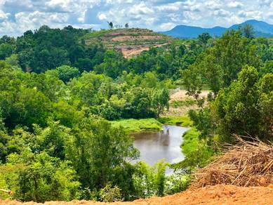Agricultural-Land-for-sale-Kuala-Kubu-Baru-Selangor