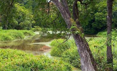 [6 Acres Land for Sale below 1Mil with Pond] @ Kuala Kubu Bharu