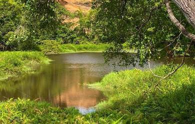 [6 Acres Land for Sale below 1Mil with Pond] @ Kuala Kubu Bharu