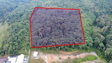 Tanah Pertanian 3.5 Ekar Sungai Mahang Nilai