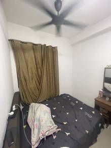 Short term room for rent until 1/2027