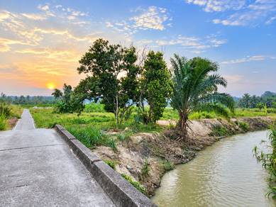 Agricultural-Land-for-sale-Beranang-Selangor