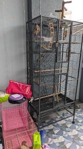 pet cage 5 feet free two small cage 