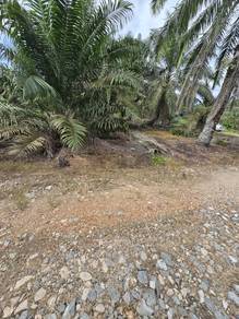 Pontian - Parit Baru Kg Sawah Kebun Sawit 20 Ekar Free Hold Non Bumi