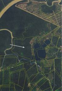 CL 99 | 29.99 Acres | Mile 16