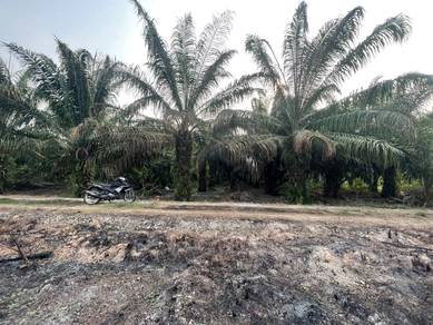 Agricultural-Land-for-sale-Kapar-Selangor