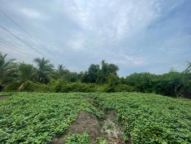 Agricultural-Land-for-sale-Kapar-Selangor
