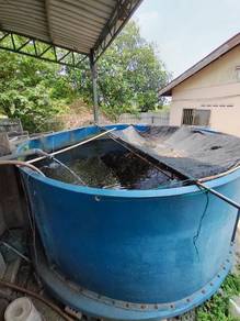Fiber Tank 8ft 10ft - Ternakan Ikan & Aquaponik