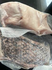 Ikan Patipok (Siakap Batu) Segar - Bahagian Perut