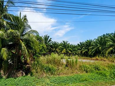 Agricultural-Land-for-sale-Banting-Selangor