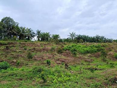 Commercial-Land-for-sale-Tampoi-Johor