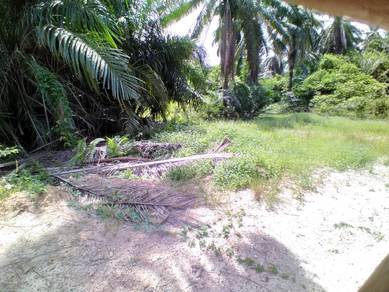 Agricultural-Land-for-sale-Puncak-Alam-Selangor