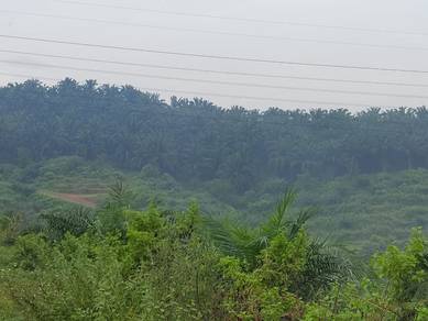 Industrial Zoning BUKIT SELAMBAU Sungai Petani Freehold Land