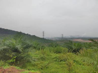 Industrial Zoning BUKIT SELAMBAU Sungai Petani Freehold Land