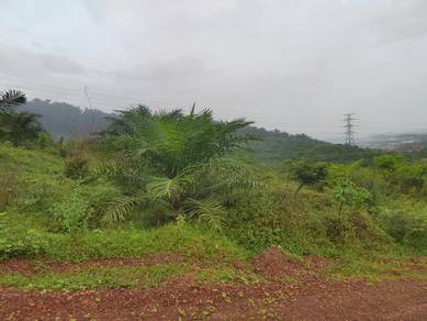Industrial Zoning BUKIT SELAMBAU Sungai Petani Freehold Land