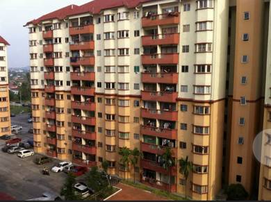 Amazing Heights