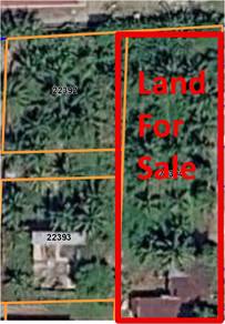 Agricultural-Land-for-sale-Seberang-Perai-Penang