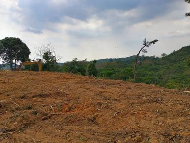 Tepi Highway Pedas - Linggi
