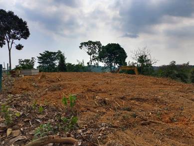 Tepi Highway Pedas - Linggi