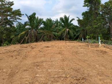 Tepi Highway Pedas - Linggi