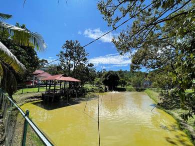 Fish pond, Chalet & Orchard  Bukit Cherakah, U15 Shah Alam