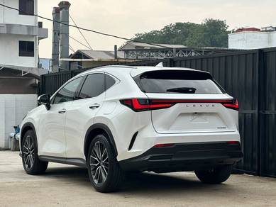 Lexus NX250 2.5 VERSION L (A) GRADE 5A P/ROOF