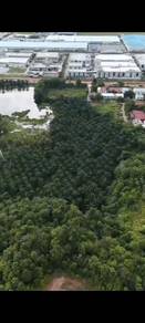 Tanah Status Pertanian di Kulim Hi-Tech Park, Kulim