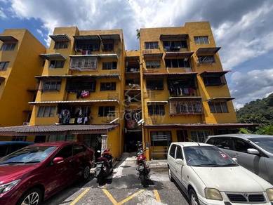 Flat Pkns Au3