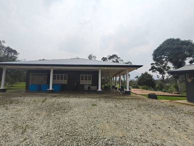 Mixed zone and Native Agriculture Land with Mature Durian Farm