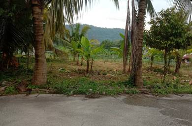 Lot Banglo Sg Penchala Untuk Dijual