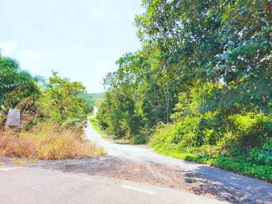 Agricultural-Land-for-sale-Segamat-Johor