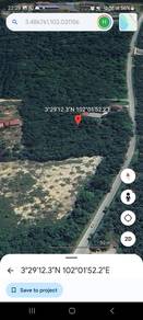 Tanah Pertanian Kg Sertik Sungai Padang Mukim Sabal Bentong