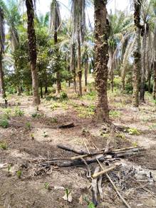 Hot Sale! Spacious 2.07 Acres Agricultural Land in Bukit Tamu