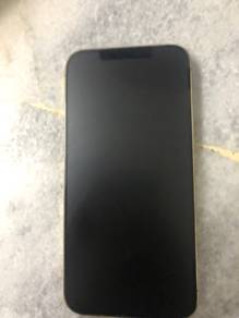 iphone 12 pro max gold