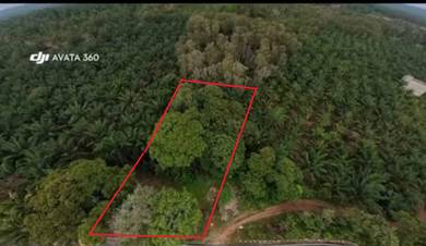 Agricultural-Land-for-sale-Telok-Kemang-Negeri-Sembilan