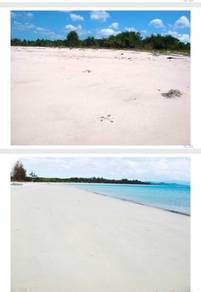 NT Land l Kudat l Beach Land l 46 Acres