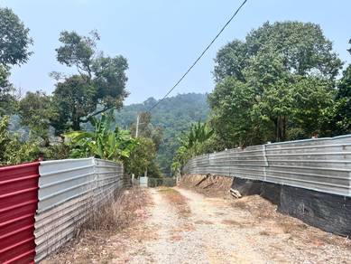 6.4 Acre Agriculture Land Mantin Negeri Sembilan With 196 Durian Tree
