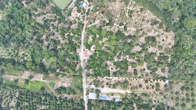 6.4 Acre Agriculture Land Mantin Negeri Sembilan With 196 Durian Tree