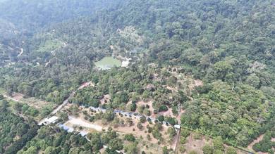6.4 Acre Agriculture Land Mantin Negeri Sembilan With 196 Durian Tree