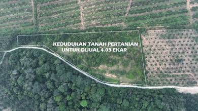 Tanah Pertanian untuk dijual di Kg.Tampin Linggi Port Dickson