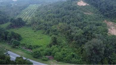 Tanah Status Pertanian Di Kampung Bukit Kukus, Kuala Ketil, Kedah