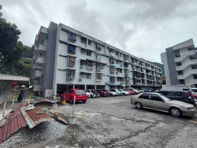 Taman Paya Terubong