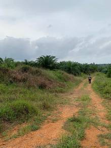 Agricultural-Land-for-sale-Kota-Tinggi-Johor-1