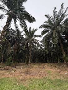 Tanah untuk dijual