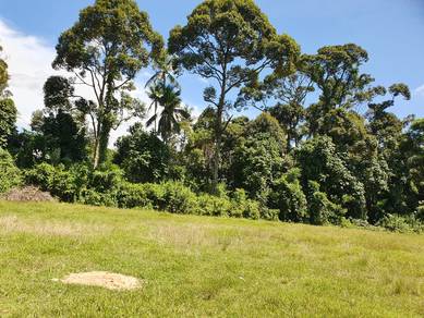 Lot Tanah  Banglo Mulong yang Strategik untuk Dijual