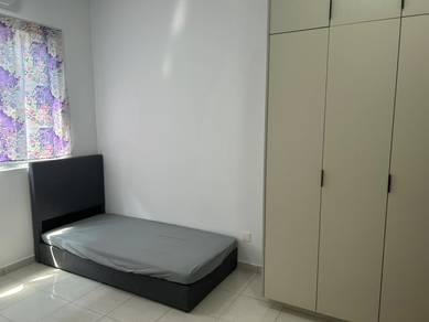 Begonia FUlly Furnished