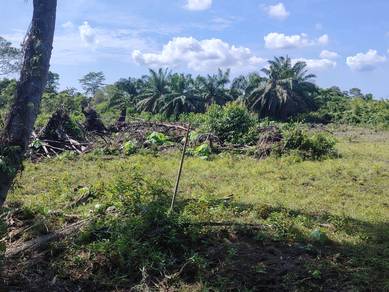 BUMI KELAPA SAWIT😊1.97ac KPG PAK DOLAH dekat KAMUNTING TOLL💕