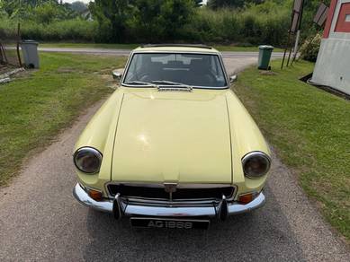 Mg1100 1.1 (M)