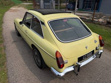 Mg1100 1.1 (M)
